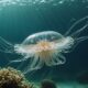 jellyfish catfish origins explained