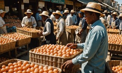 chicken egg price today