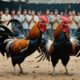 cockfighting legal status thailand